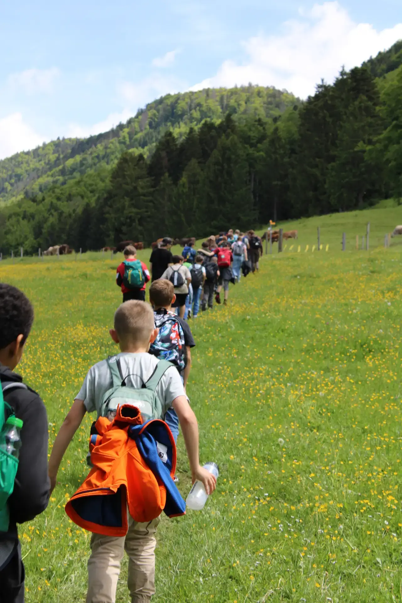 Auffahrtslager der Jungschar Frick und Rheinfelden, auf der Wanderung